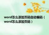 word怎么添加页码自动编码（word怎么添加页码）