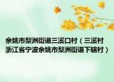 余姚市梨洲街道三溪口村（三溪村 浙江省宁波余姚市梨洲街道下辖村）