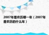2007年是农历哪一年（2007年是农历的什么年）