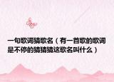 一句歌词猜歌名（有一首歌的歌词是不停的猜猜猜这歌名叫什么）