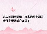 来去的四字词组（来去的四字词语多几个更好简介介绍）