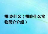 蚕,吃什么（蚕吃什么食物简介介绍）