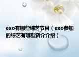 exo有哪些综艺节目（exo参加的综艺有哪些简介介绍）
