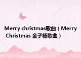Merry christmas歌曲（Merry Christmas 金子杨歌曲）
