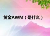 黄金AWM（是什么）