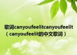 歌词canyoufeelitcanyoufeelit（canyoufeelit的中文歌词）