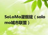 SoLoMo濯掍綋（solomo城市联盟）