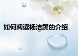 如何阅读杨洁篪的介绍