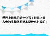 世界上最早的动物化石（世界上最古老的生物化石标本是什么时候的）
