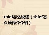 thief怎么说读（thief怎么读简介介绍）