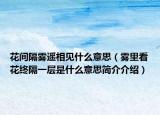 花间隔雾遥相见什么意思（雾里看花终隔一层是什么意思简介介绍）