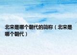 北宋是哪个朝代的简称（北宋是哪个朝代）
