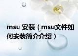 msu 安装（msu文件如何安装简介介绍）