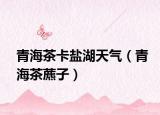 青海茶卡盐湖天气（青海茶藨子）
