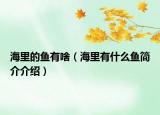 海里的鱼有啥（海里有什么鱼简介介绍）