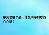 序列号哪个是（什么叫序列号简介介绍）