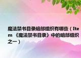魔法禁书目录暗部组织有哪些（Item 《魔法禁书目录》中的暗部组织之一）
