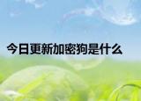 今日更新加密狗是什么