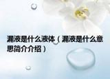 漏液是什么液体（漏液是什么意思简介介绍）