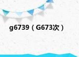 g6739（G673次）