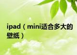 ipad（mini适合多大的壁纸）