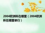2004欧洲杯在哪里（2004欧洲杯在哪里举行）