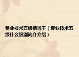 专业技术五级相当于（专业技术五级什么级别简介介绍）