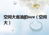空间大省油的suv（空间大）