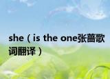 she（is the one张蔷歌词翻译）