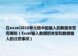 在excel2010单元格中能输入的数据类型有哪些（Excel输入数据的类型和数据输入的注意事项）