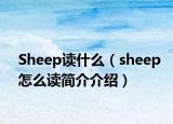 Sheep读什么（sheep怎么读简介介绍）