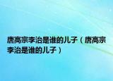 唐高宗李治是谁的儿子（唐高宗李治是谁的儿子）