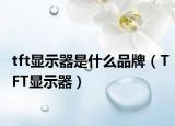 tft显示器是什么品牌（TFT显示器）
