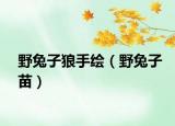 野兔子狼手绘（野兔子苗）