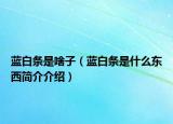 蓝白条是啥子（蓝白条是什么东西简介介绍）