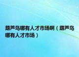 葫芦岛哪有人才市场啊（葫芦岛哪有人才市场）