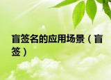 盲签名的应用场景（盲签）