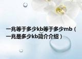 一兆等于多少kb等于多少mb（一兆是多少kb简介介绍）