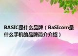 BASIC是什么品牌（BaSIcom是什么手机的品牌简介介绍）