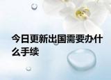 今日更新出国需要办什么手续