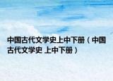 中国古代文学史上中下册（中国古代文学史 上中下册）