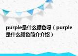 purple是什么颜色呀（purple是什么颜色简介介绍）