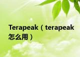 Terapeak（terapeak怎么用）