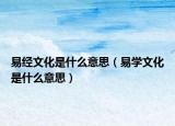易经文化是什么意思（易学文化是什么意思）