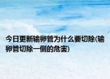 今日更新输卵管为什么要切除(输卵管切除一侧的危害)