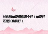 长焦和单反相机哪个好（单反好还是长焦机好）