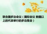 联合国多边会议（国际会议 数国以上的代表举行的多边集会）
