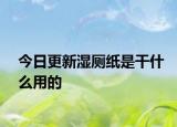 今日更新湿厕纸是干什么用的