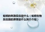 蚯蚓的刺激反应是什么（蚯蚓生物反应器的原理是什么简介介绍）