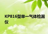 KP816型单一气体检漏仪